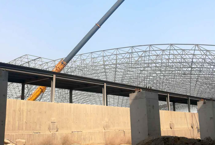 ɽ�����༯��һ�ֳ�ú������